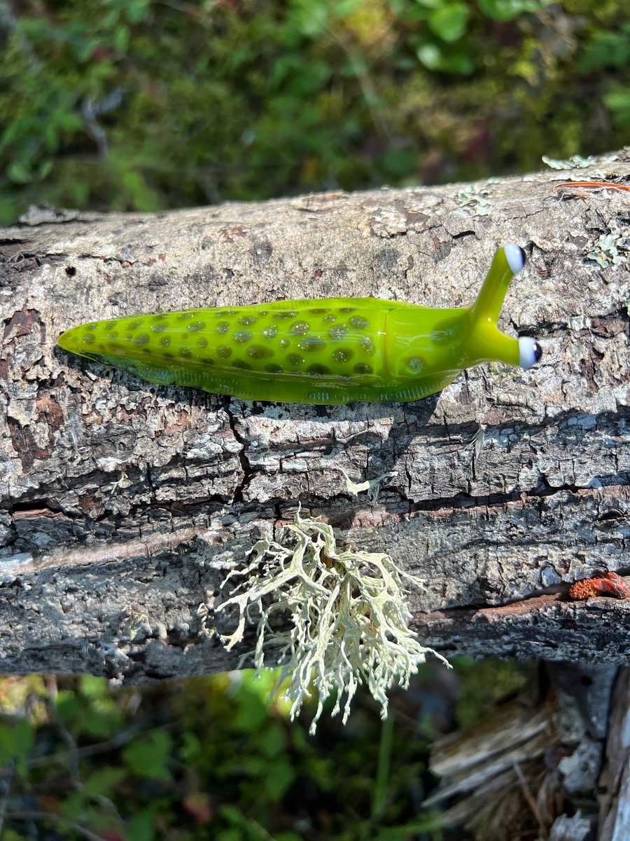 Image of Chartreuse Boro Slug