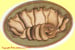 Image of eyeshells better shells corner