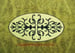 Image of flies geo