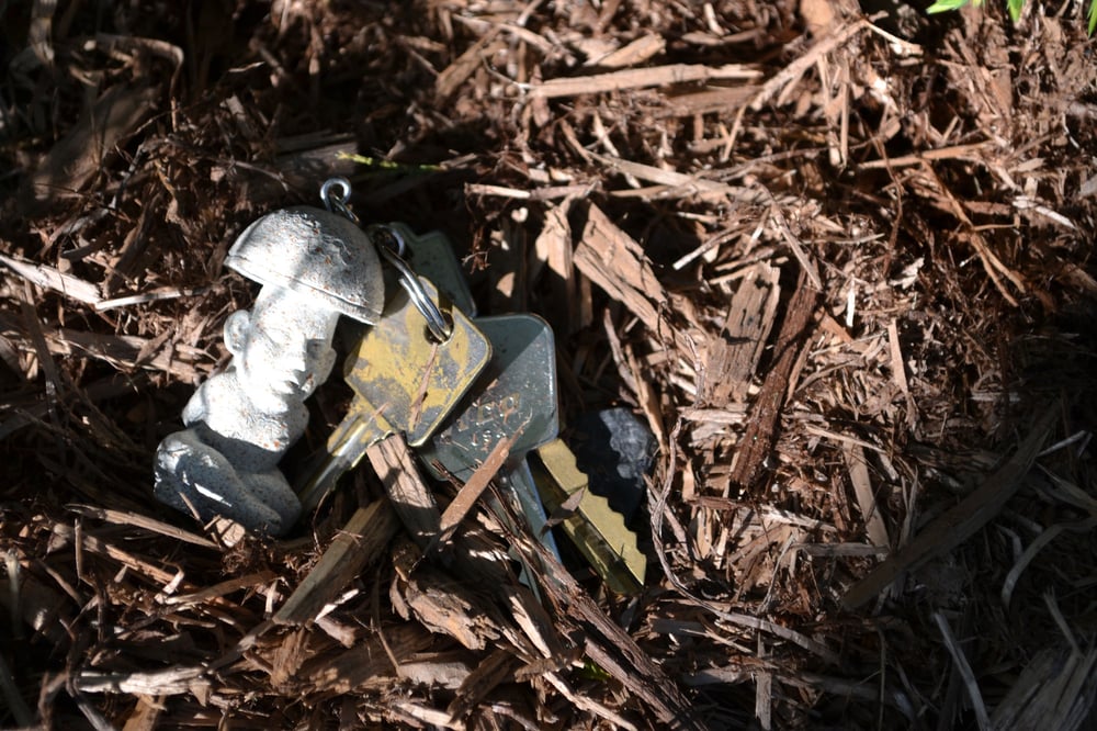 Image of Shroom Stone Keychain