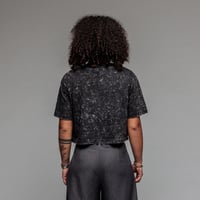 Image 3 of Acid Crop