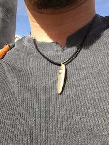Image of Starship of the Imagination necklace