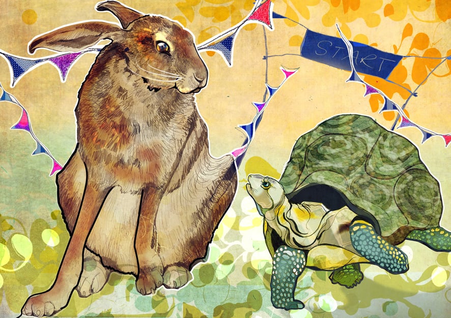 Image of The Hare and The Tortoise