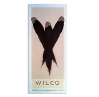 Image 1 of Wilco: Tempe, Arizona