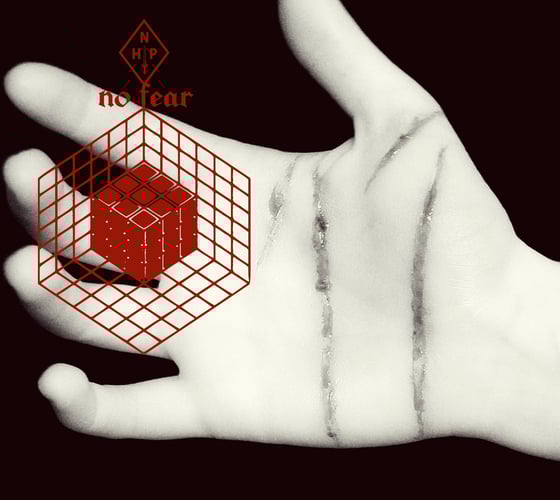 Image of NON-HUMAN PERSONS | No Fear  ----CD----
