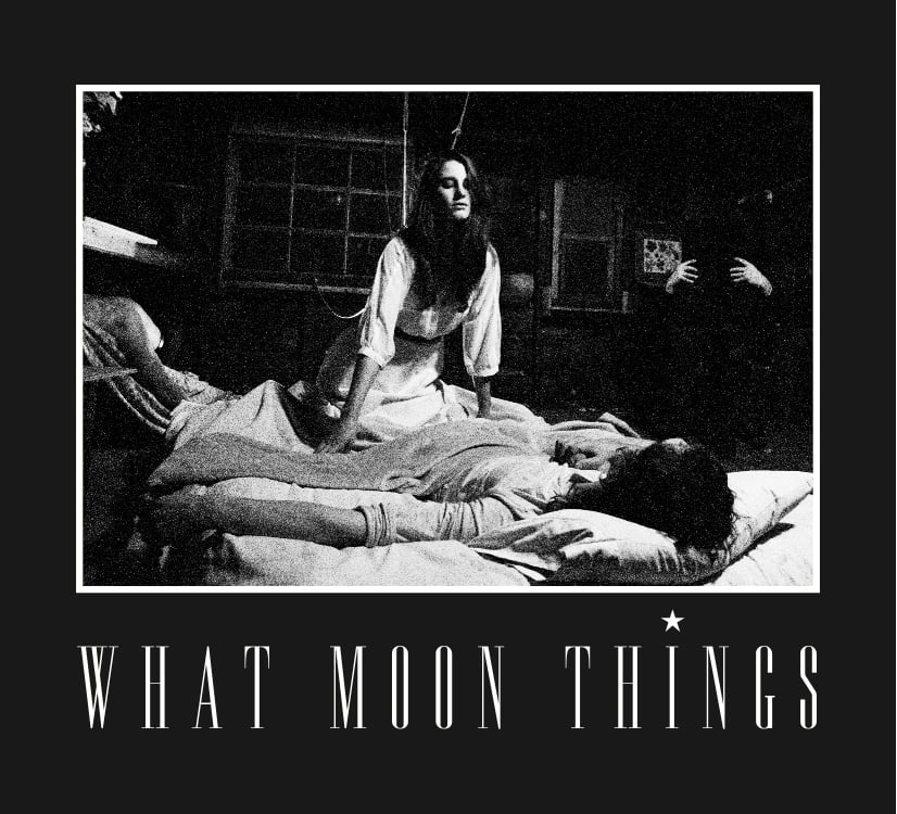 Image of LP  "What Moon Things"  by What Moon Things