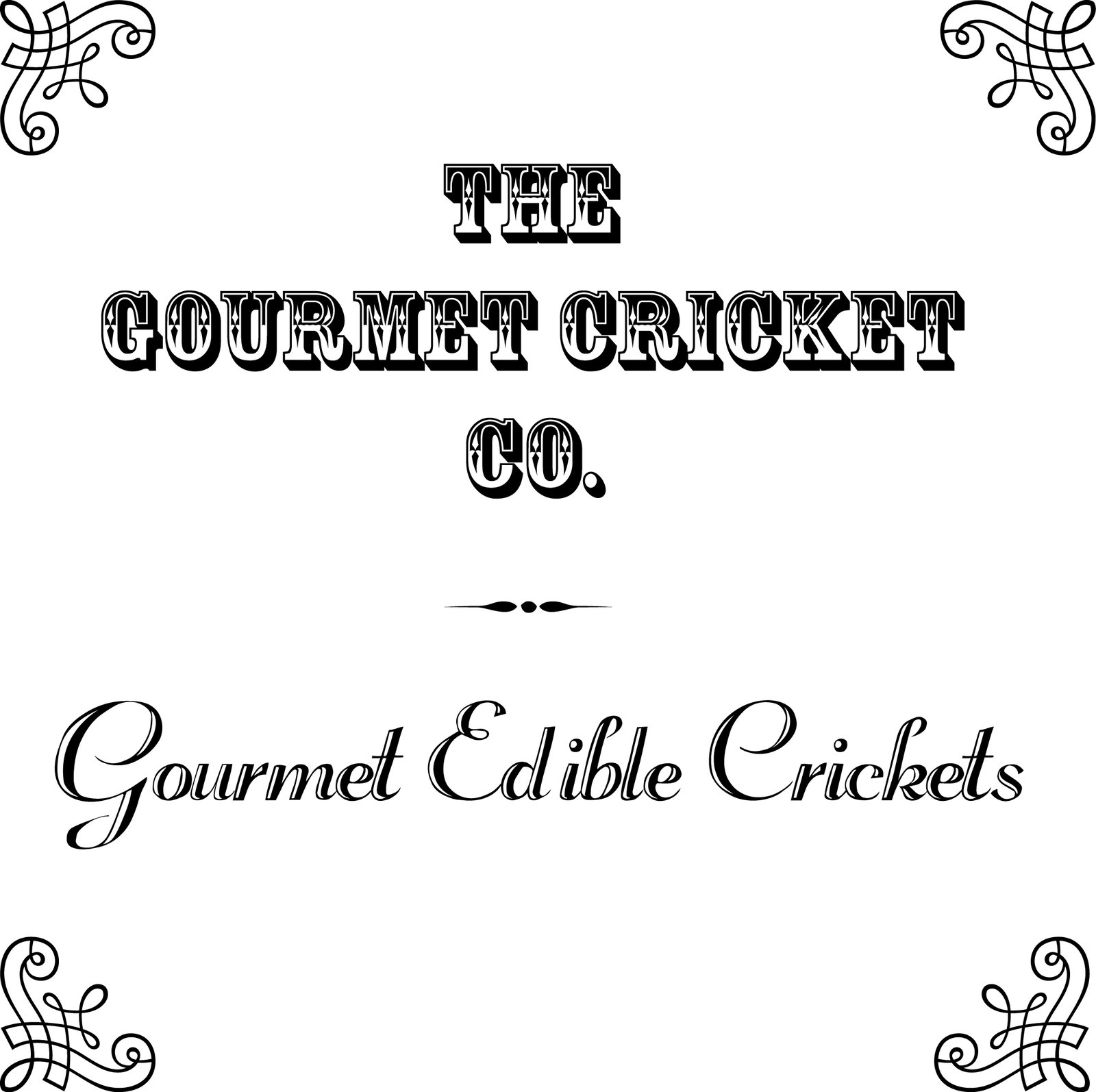 Gourmet Edible Crickets / The Gourmet Cricket Co.