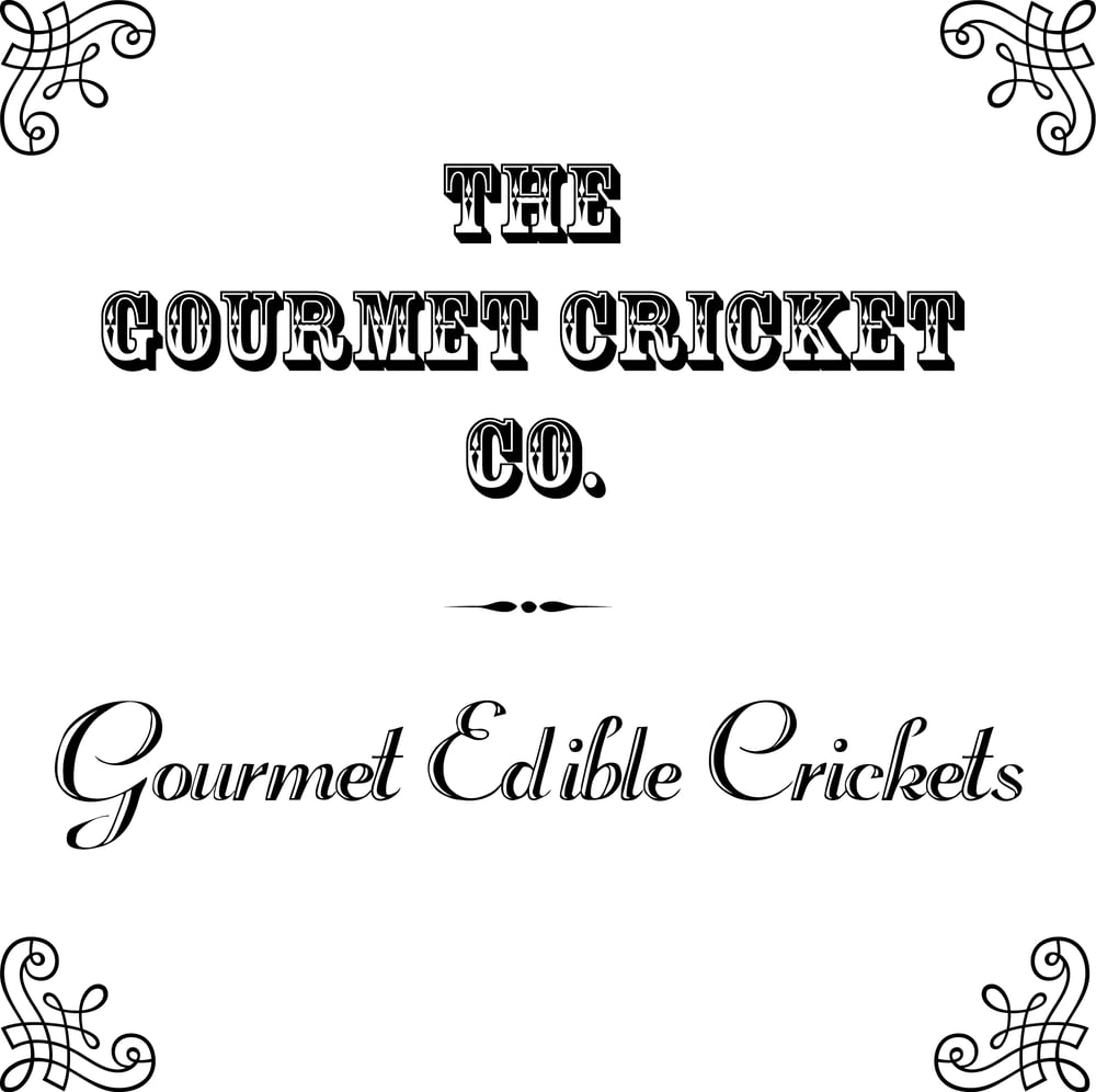Image of Gourmet Edible Crickets