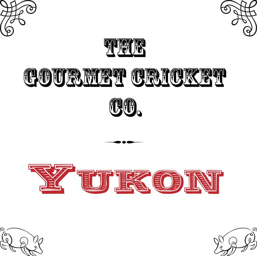 Image of Yukon Bar