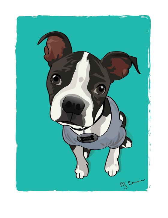 Image of Custom Pet Illustrations