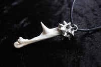 Image 8 of Dead Good spiky  Pheasant bone necklace