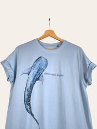 Image 3 of Tshirt SQUALO BALENA
