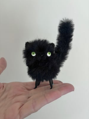 Image of Bitty Fluffy Cat in Black