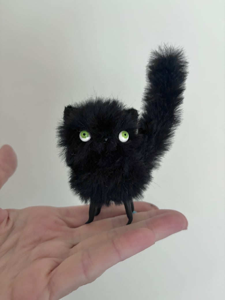 Image of Bitty Fluffy Cat in Black