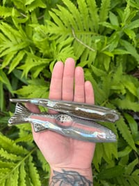 Image 2 of Steelhead Trout