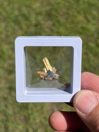 Image 7 of Golden Rutile & Hematite Star Specimen|Brazil #2932