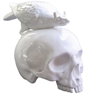 Image of Rat-Pigeon Skull