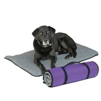 Image 2 of K9FITbed