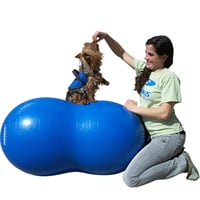 Image 1 of FitPAWS® Peanut