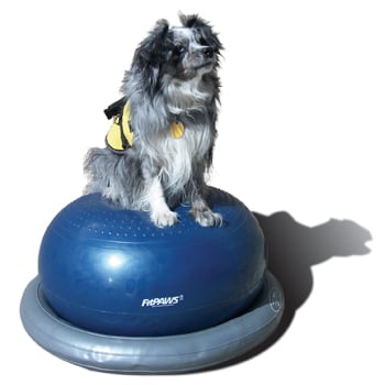 Image of FitPAWS® Circular Product Holder Gray