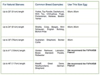 Image 2 of FitPAWS® Egg