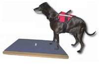 FitPAWS® Giant Rocker Board