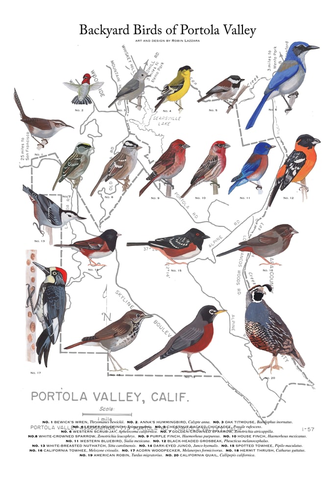 Image of Portola Valley Backyard Birds Poster