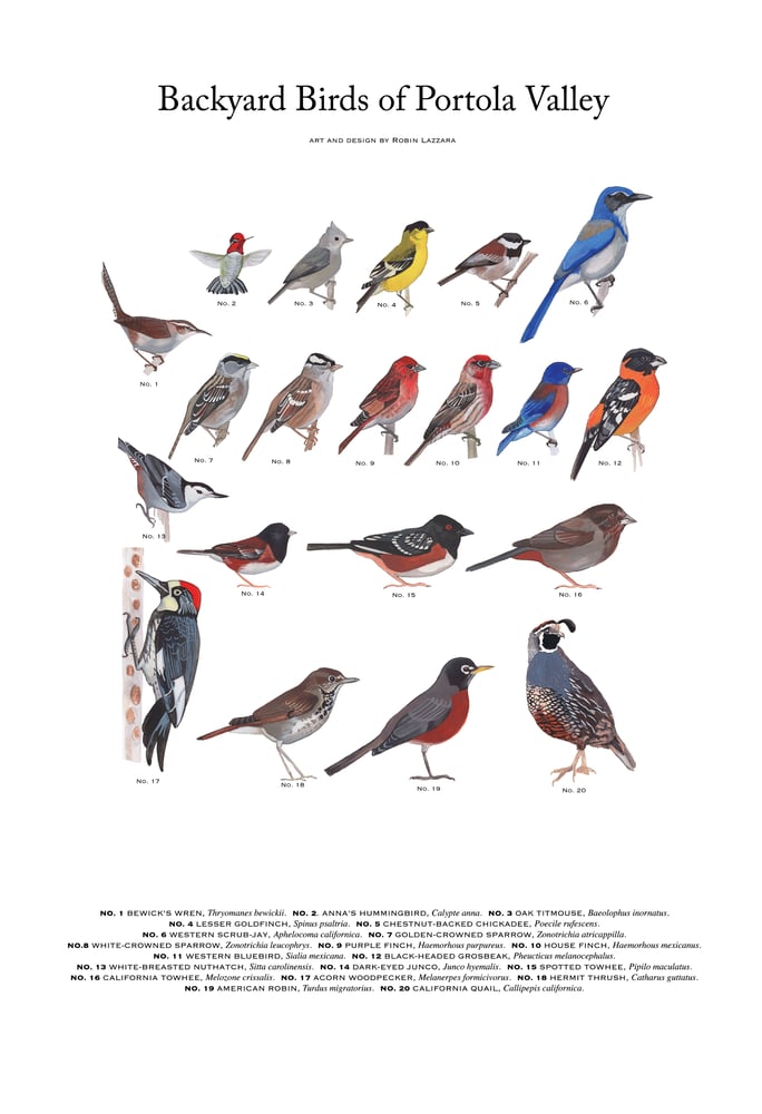 Image of Portola Valley Backyard Birds Poster (Version 2)