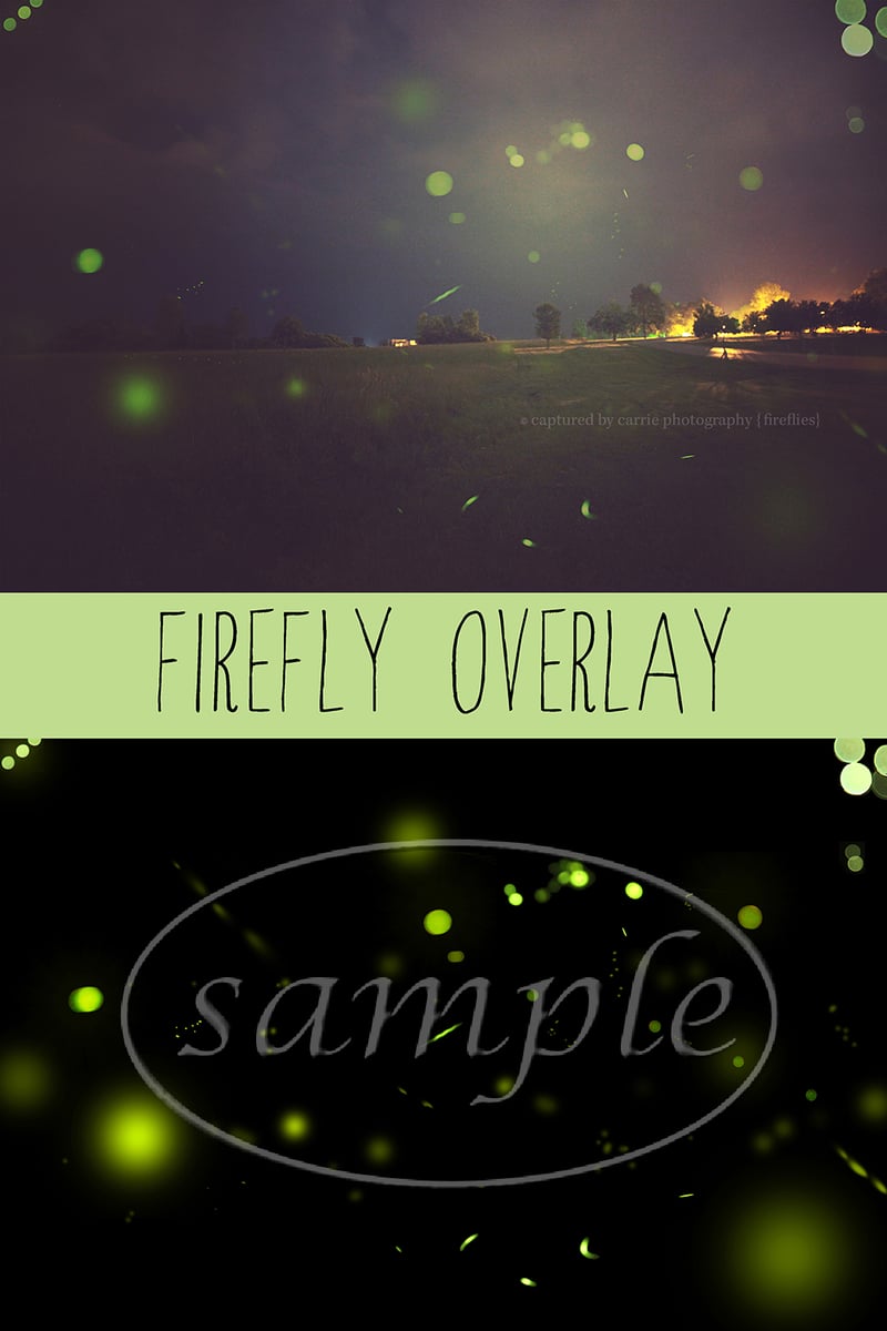Firefly Overlay | Shoot for the Moon Images & Product Shop