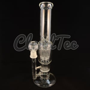 Image of Stemless Honeycomb Tree Perc