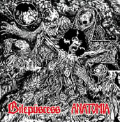Image of ANATOMIA/BILEPUSCESS SPLIT 7" (regular version, black vinyl)