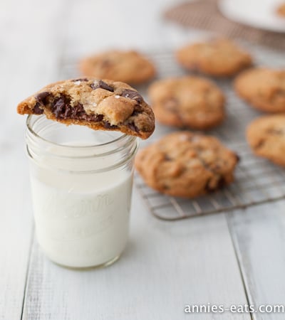 Image of Chocolate Chip Nutella Cookie - Gallery Wrap Canvas
