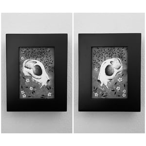 Original Ink And Watercolor Cat Skull Two In Frame