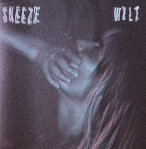 Image of Wilt 12" LP