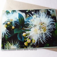 Image 4 of 40 C6 Envelopes, 100% Recycled Paper