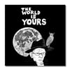VARIOUS 'Peter Kemp - The World Is Yours' Digital Download