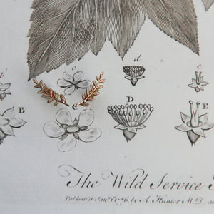 Image of *SALE* fern leaf stud earrings (in silver or 9ct gold)