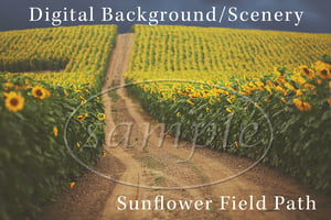 Image of Sunflower Field Path Digital Background