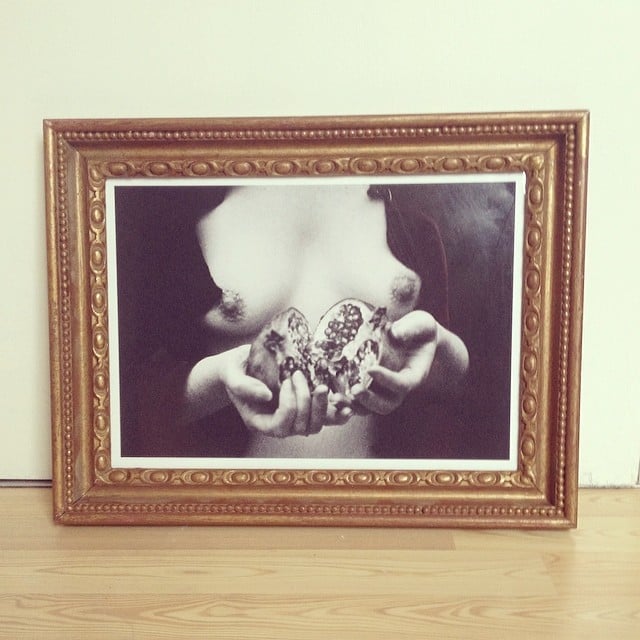 Image of Large Framed 'Pomegranate' Archival Photographic Print