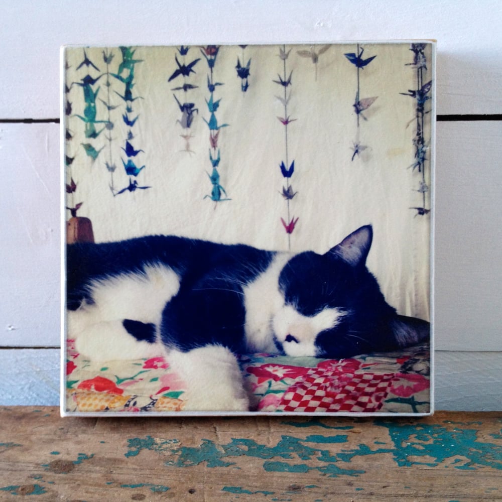 Image of Cat Nap Print On Wood