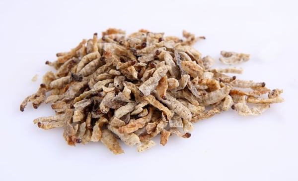 Image of Thai Edible Bamboo Worms 100 grams