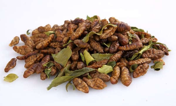 Image of Thai Edible Silkworm Pupae 100 grams