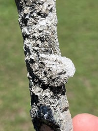 Image 10 of Coated Quartz Point & Calcite Specimen #2545
