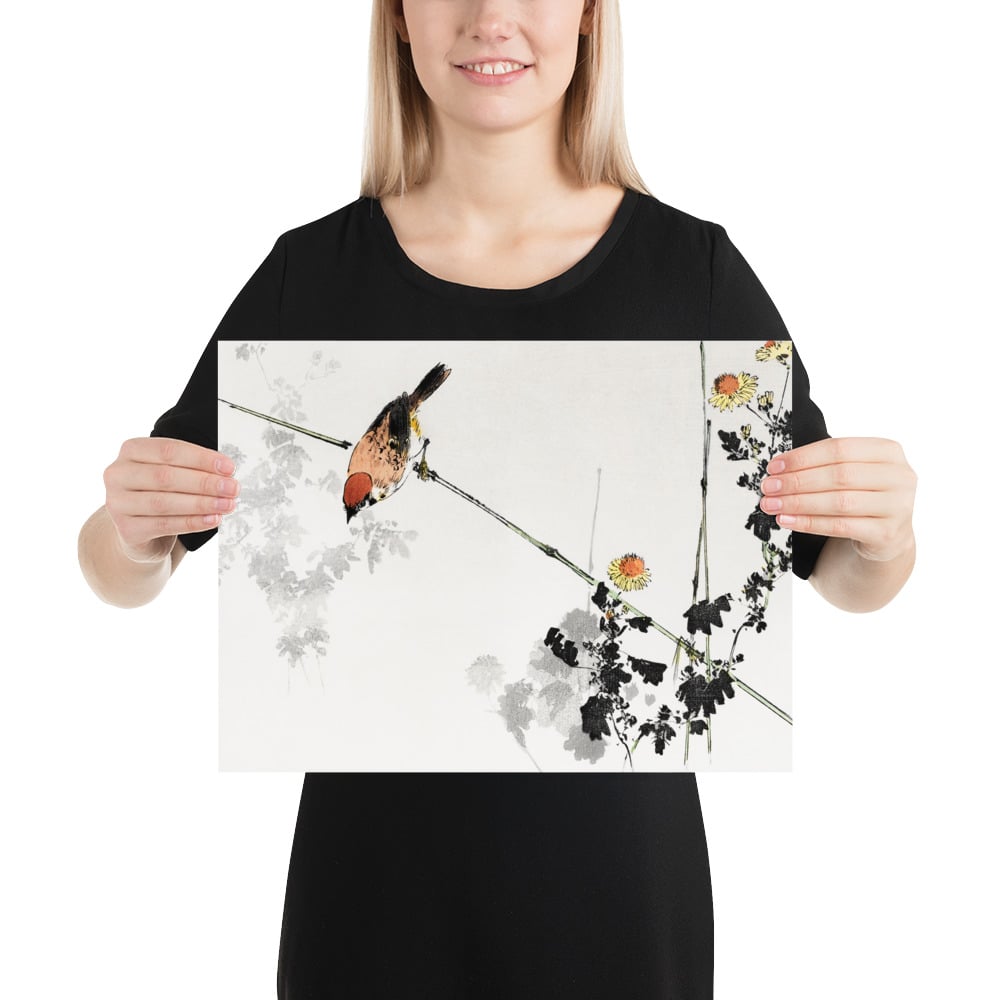 Japanese swallow bird - Poster