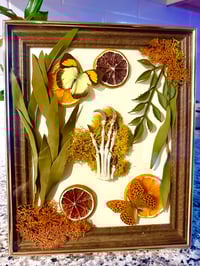 Image 1 of Lucky Fox Paw Frame