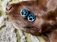 Image 2 of Glass Paws