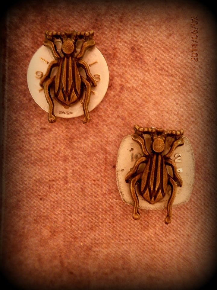 Image of Earbugs