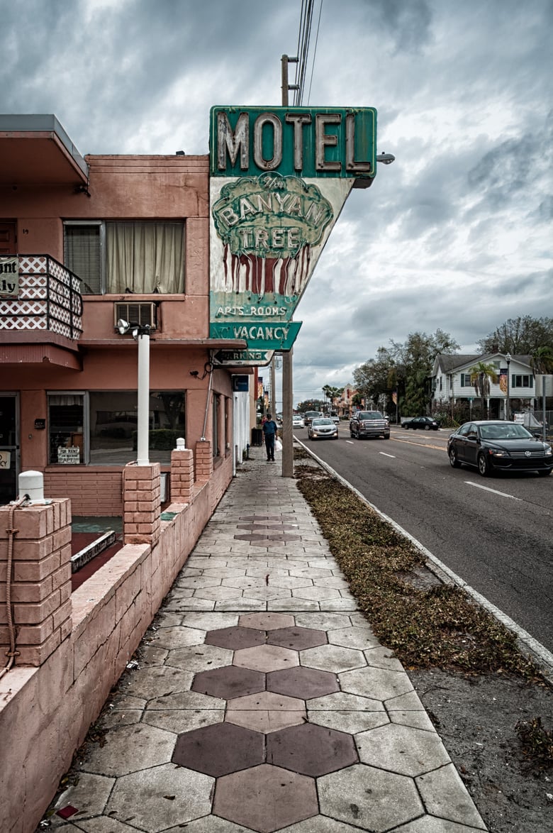 Image of The Banyan Tree Motel: Fuji Pearl Print