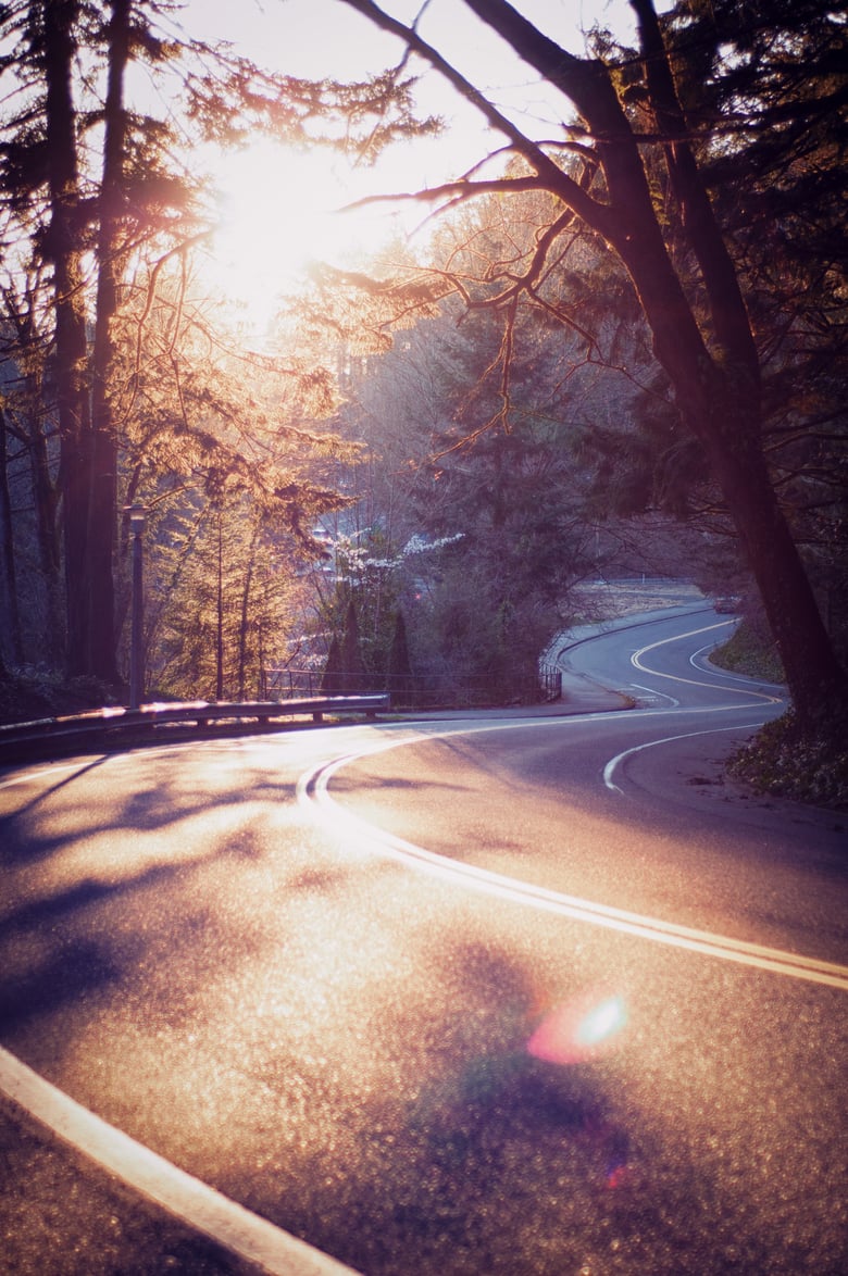 Image of The Long and Winding Road Home: Fuji Matte Print