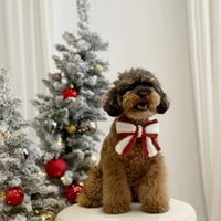 Image 1 of CROCHET BOW - CANDY CANE (PRE-ORDER)